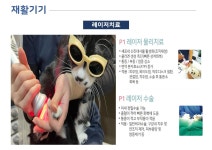 힐링동물병원