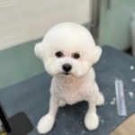 웅살롱