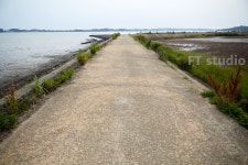 에프티스튜디오