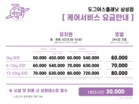 도그어스플래닛 삼성점