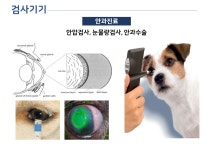 힐링동물병원