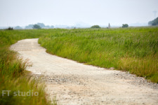 에프티스튜디오