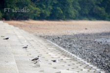 에프티스튜디오