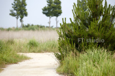 에프티스튜디오