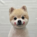 웅살롱