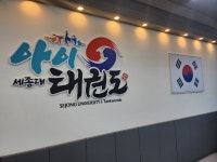 세종대아이태권도