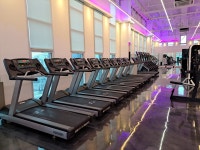 에이펙스 화정점