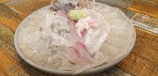 팔딱팔딱