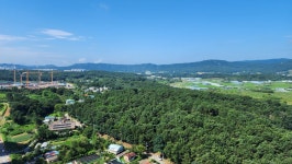 힐스테이트도안공인중개사사무소