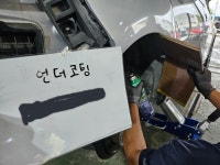 찐모터스