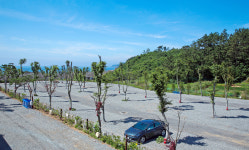 파도와노을캠핑장