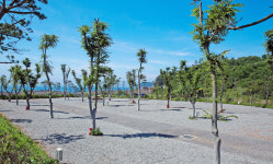 파도와노을캠핑장