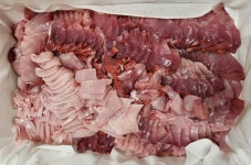 새댁이수산