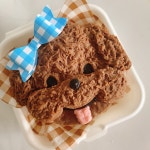 뚜드림수제간식 부산점