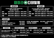 때미리디테일링 손세차