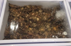 새댁이수산