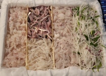 새댁이수산