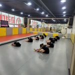 고려대효태권도