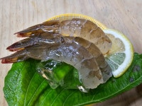 석탄이네해산물포차