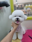 슬로독