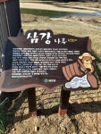 삼강주막마을