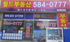 월드공인중개사사무소