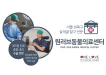 원러브동물의료센터