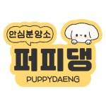 대전 강아지분양 고양이분양 퍼피댕 안심분양소 대전본점
