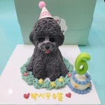 테리네간식