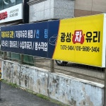 광성차유리