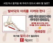 모세알즈너 | 알즈너 모세대리점