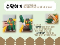 꿀잼키즈룸 보령점