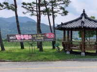 바다한우암소
