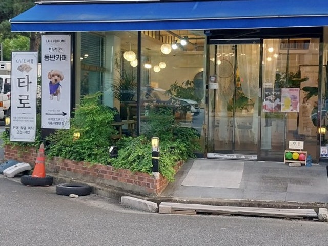 타로카페퍼퓸