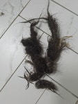 하수구싱크대변기막힘뚫음고압세척내시경변기배관수리교체가격