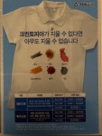 크린토피아 하나로마트 춘천엔타점
