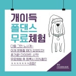 퀸폴댄스스튜디오
