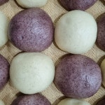 터미널 수제만두 꼬마김밥