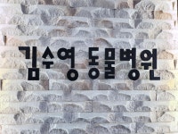김수영동물병원