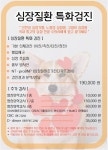 24시독스동물병원