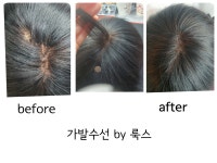 룩스