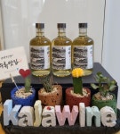 가자주류 원주기업도시점