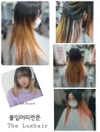 룩스