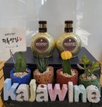 가자주류 원주기업도시점