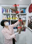 고성희한의원