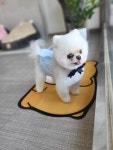 덕구살롱