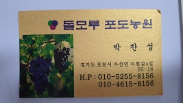 돌모루포도농원