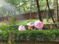 마미키즈스쿨어린이집