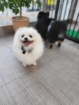 덕구살롱