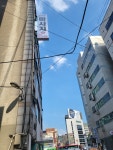 에스테라피